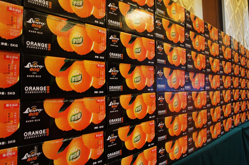 1624240710431264.jpg 1-(1).jpg